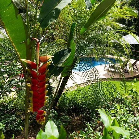 Arbol Verde Villas أوخوتشال المظهر الخارجي الصورة