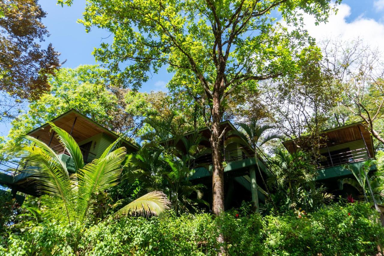Arbol Verde Villas أوخوتشال المظهر الخارجي الصورة